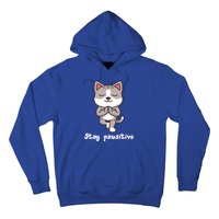 Stay Pawsitive Cool Yoga Positive Funny Cat Pun Quote Gift Hoodie