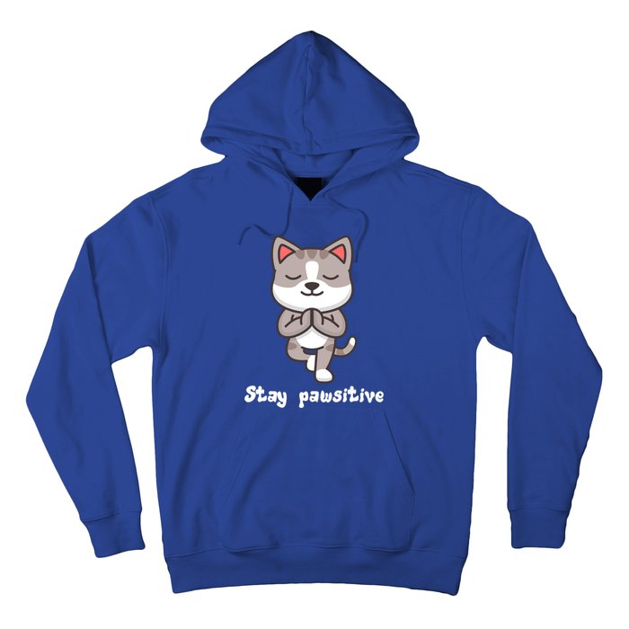 Stay Pawsitive Cool Yoga Positive Funny Cat Pun Quote Gift Hoodie