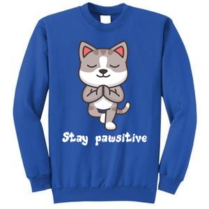 Stay Pawsitive Cool Yoga Positive Funny Cat Pun Quote Gift Sweatshirt