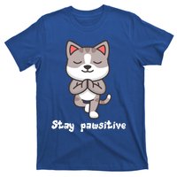 Stay Pawsitive Cool Yoga Positive Funny Cat Pun Quote Gift T-Shirt