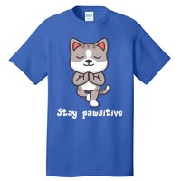 Stay Pawsitive Cool Yoga Positive Funny Cat Pun Quote Gift Tall T-Shirt