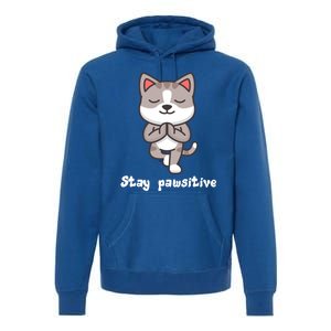 Stay Pawsitive Cool Yoga Positive Funny Cat Pun Quote Gift Premium Hoodie