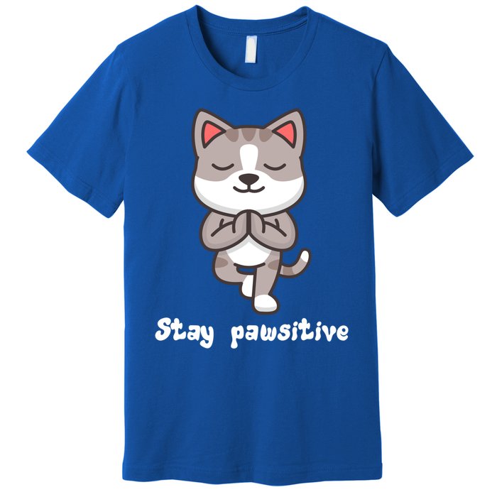 Stay Pawsitive Cool Yoga Positive Funny Cat Pun Quote Gift Premium T-Shirt