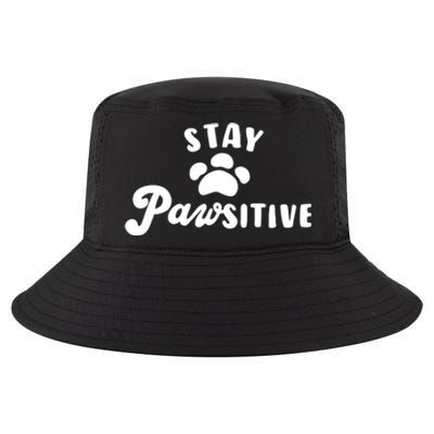 Stay Pawsitive Cute Dog Quote Cool Comfort Performance Bucket Hat