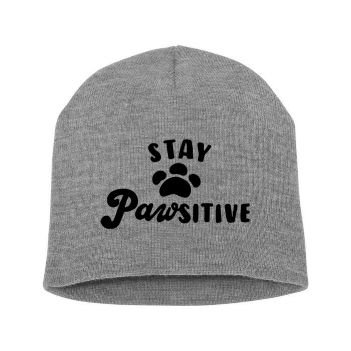 Stay Pawsitive Cute Dog Quote Short Acrylic Beanie