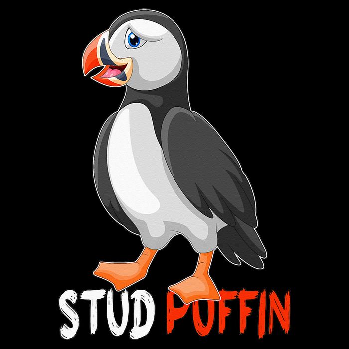 Stud Puffin Cute Puffin Drawstring Bag