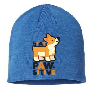 Stay Pawsitive Cool Gift Sustainable Beanie