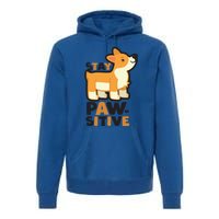 Stay Pawsitive Cool Gift Premium Hoodie