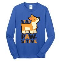 Stay Pawsitive Cool Gift Tall Long Sleeve T-Shirt