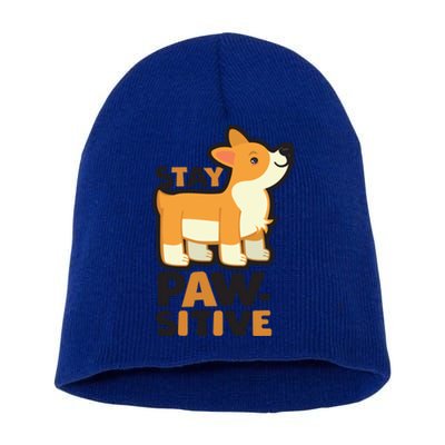 Stay Pawsitive Cool Gift Short Acrylic Beanie