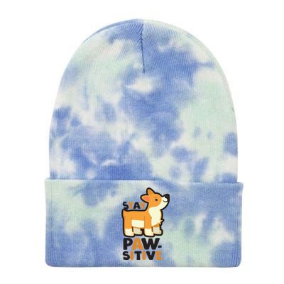 Stay Pawsitive Cool Gift Tie Dye 12in Knit Beanie