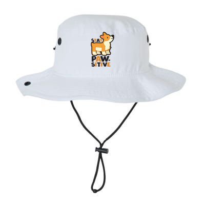 Stay Pawsitive Cool Gift Legacy Cool Fit Booney Bucket Hat