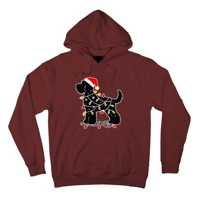 Santa Puppy Christmas Lights Hoodie