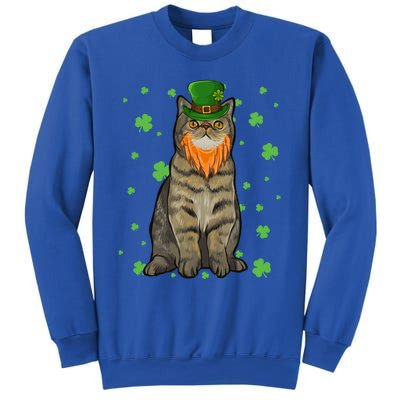 St Patricks Day Exotic Shorthair Cat Shamrock Gift Sweatshirt