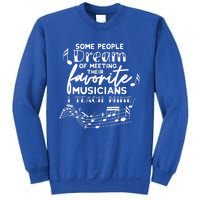 Some People Dream Musicians I Teach Mine Music Teacher Hoodi Gift Sweatshirt