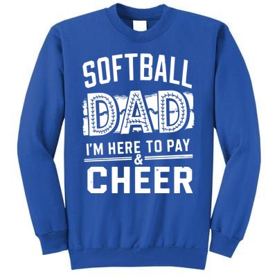 Softball Player Daddy Humor Design Funny Softball Dad Meaningful Gift Tall Sweatshirt