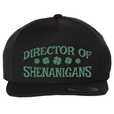 St. PatrickS Day Director Of Shenanigans Irish Teacher Wool Snapback Cap