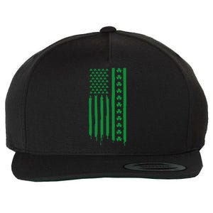 St Patricks Day Usa Flag Gift Wool Snapback Cap