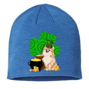 St Paddys Day Shamrock Dog Lover Pomeranian Clover Gift Sustainable Beanie