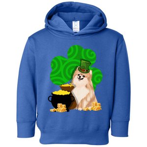 St Paddys Day Shamrock Dog Lover Pomeranian Clover Gift Toddler Hoodie