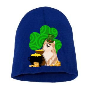 St Paddys Day Shamrock Dog Lover Pomeranian Clover Gift Short Acrylic Beanie