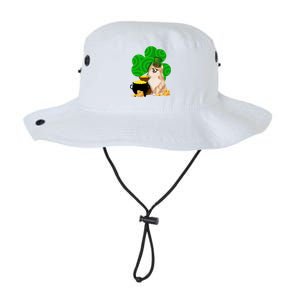 St Paddys Day Shamrock Dog Lover Pomeranian Clover Gift Legacy Cool Fit Booney Bucket Hat