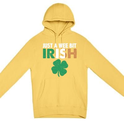 St Patrick's Day Just A Wee Bit Irish Ireland Flag Shamrock Great Gift Premium Pullover Hoodie