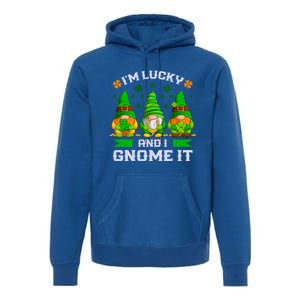 St Patrick's Day Irish Gnomes Funny Saying Gift Premium Hoodie