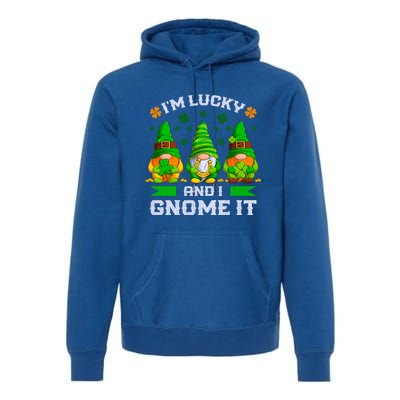 St Patrick's Day Irish Gnomes Funny Saying Gift Premium Hoodie