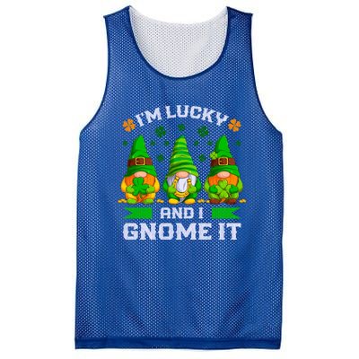 St Patrick's Day Irish Gnomes Funny Saying Gift Mesh Reversible Basketball Jersey Tank