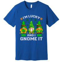 St Patrick's Day Irish Gnomes Funny Saying Gift Premium T-Shirt