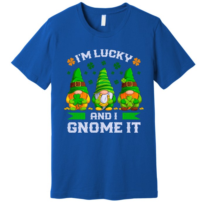 St Patrick's Day Irish Gnomes Funny Saying Gift Premium T-Shirt