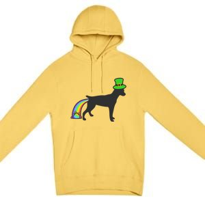 St Patrick's Day Rainbow Dog Gift Rat Terrier Gift Premium Pullover Hoodie