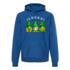 St Patrick's Day Lucky Gnomes Gift Premium Hoodie