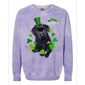 St Patrick's Day Irish Saint Patrick Shamrock Labrador Puppy Colorblast Crewneck Sweatshirt