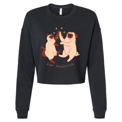 STAY PAWSITIVE Dog And Cat Lover Cropped Pullover Crew