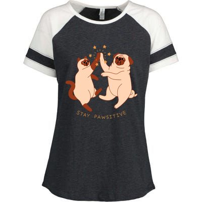 STAY PAWSITIVE Dog And Cat Lover Enza Ladies Jersey Colorblock Tee