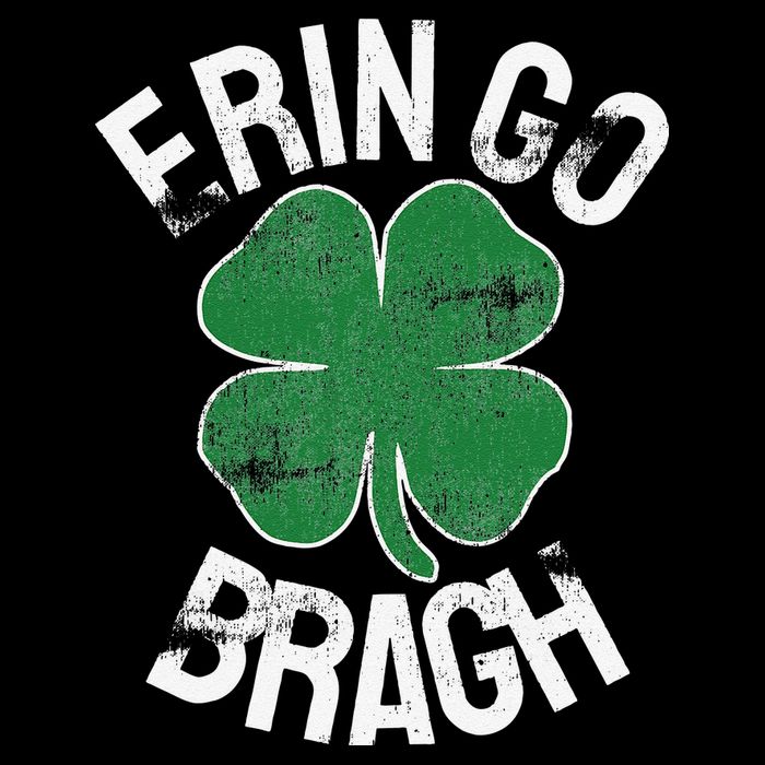 St. Patrick's Day Shamrock Erin Go Bragh Irish Saint Paddy's Magnet
