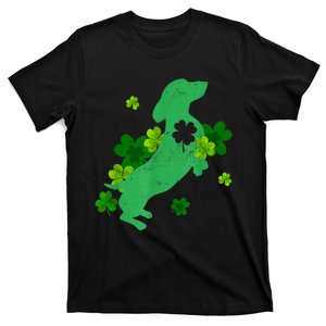 St Patricks Day Animal Lover Dachshund Dog Shamrock Gift T-Shirt