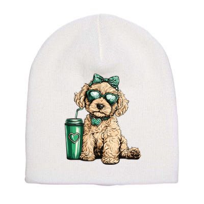 St. PatrickS Day Poodle Lover Design For Dog Moms Short Acrylic Beanie