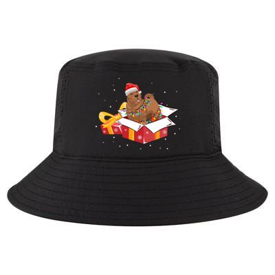 Shar Pei Dog Christmas Is Box Gift Dog Light Tree Xmas Cool Gift Cool Comfort Performance Bucket Hat