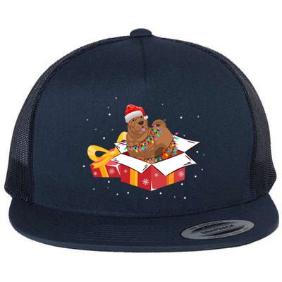 Shar Pei Dog Christmas Is Box Gift Dog Light Tree Xmas Cool Gift Flat Bill Trucker Hat