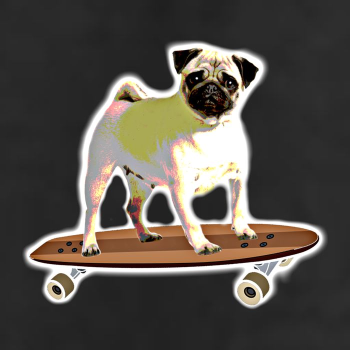 Skateboarding Pug Dog Riding Skateboard Skater Gift 11oz C Handle Ceramic Mug