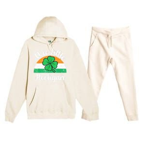 St Patricks Day Wee Little Hooligan Boy Funny Premium Hooded Sweatsuit Set