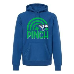 St Patricks Day Meaningful Gift Premium Hoodie