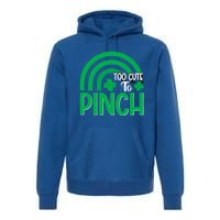 St Patricks Day Meaningful Gift Premium Hoodie