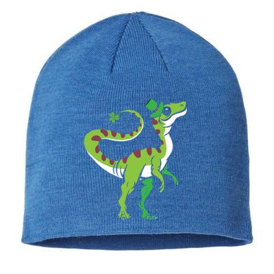 Saint Patrick's Day Irish Shenanigan Dinosaur Lover Dino Gift Sustainable Beanie