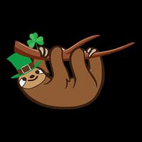 Saint Patrick's Day For Sloth Lovers Wo& Backpack