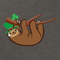 Saint Patrick's Day For Sloth Lovers Wo& Cotton Canvas Backpack