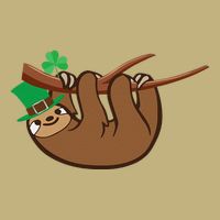 Saint Patrick's Day For Sloth Lovers Wo& Sustainable Beanie